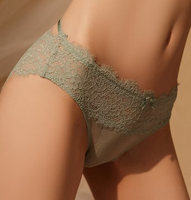 Lace Hollow Out Panties, Undies, See Through Underwear, See Through Panties,Sheer Thong, Silky Panties, Lace Thong,Sheer Thong, Gift For Her